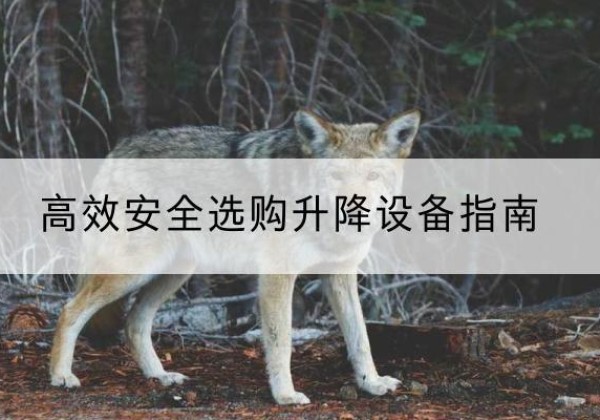 贡井升降货梯厂家推荐-*安全选购升降设备指南