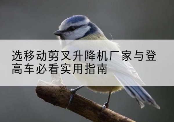 贡井电动升降机厂家-选移动剪叉升降机厂家与登高车必看实用指南