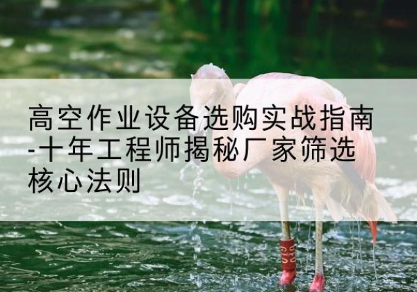贡井剪叉式升降机厂家-高空作业设备选购实战指南-十年工程师揭秘厂家筛选核心法则